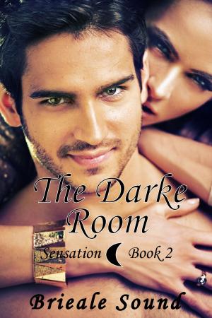 Book cover of The Darke Room, Sensation Book 2
