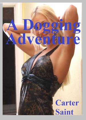 Book cover of A Dogging Adventure