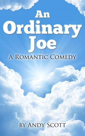 bigCover of the book An Ordinary Joe: A Romantic Comedy by 