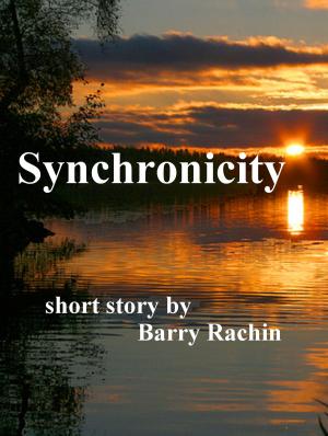 Cover of the book Synchronicity by Barry Rachin