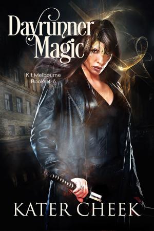 Cover of the book Dayrunner Magic by Jillian Quinn