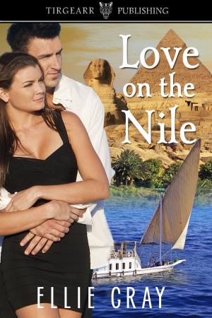 Cover of the book Love on the Nile by Kristi Ahlers