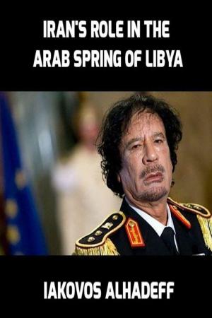 Book cover of Iran's Role in the Arab Spring of Libya