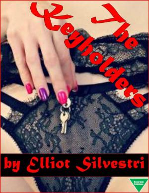 Cover of the book The Keyholders by Aa. Vv., Martina Testa