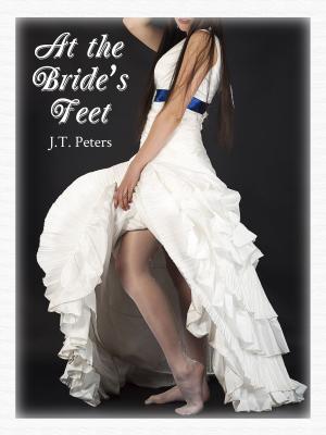 Cover of At the Bride's Feet