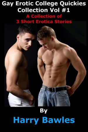 Book cover of Gay Erotic College Quickies Collection: Vol #1