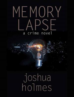 Book cover of Memory Lapse: A Crime Novel