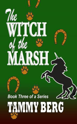 Cover of The Witch of the Marsh... Book Three of a Series