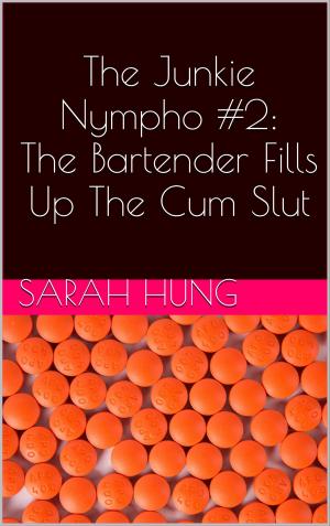 bigCover of the book The Junkie Nympho #2: The Bartender Fills Up The Cum Slut by 