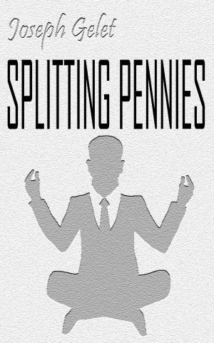 Cover of the book Splitting Pennies by Matthew Driver