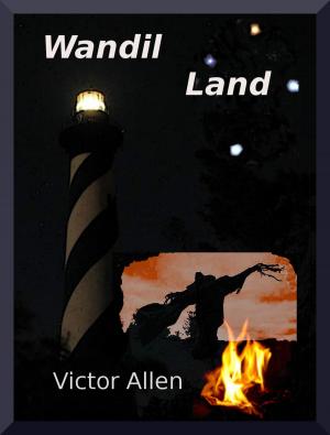 Book cover of Wandil Land