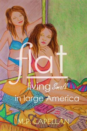 Cover of the book Flat: Living Small in Large America by Angelos Georgakis