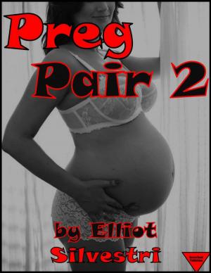 bigCover of the book Preg Pair 2 by 
