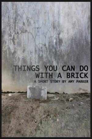 Book cover of Things You Can Do with a Brick
