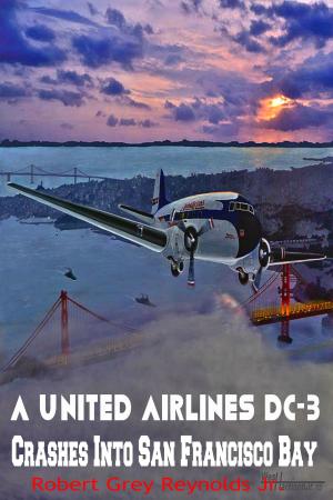 Cover of the book United Airlines DC-3 Crashes Into San Francisco Bay by Robert Grey Reynolds Jr