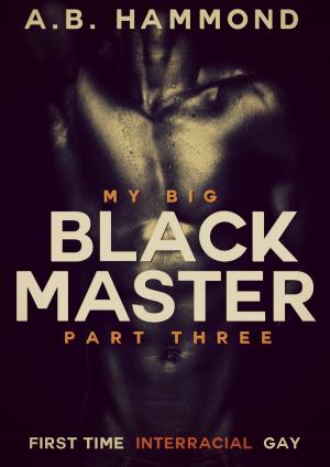 Cover of My Big Black Master: Book Three