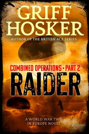 Book cover of Raider