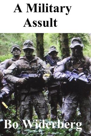Cover of the book A Military Assult by C. Michael Hubbard