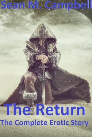 Cover of the book The Return by San Vital