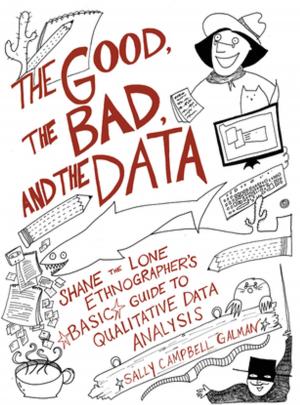 Cover of the book The Good, the Bad, and the Data by Mary Biddulph, David Lambert, David Balderstone