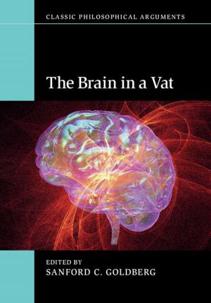 Cover of the book The Brain in a Vat by Margaret A. Young, Maureen F. Tehan, Lee C. Godden, Kirsty A. Gover
