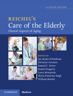 Cover of the book Reichel's Care of the Elderly by Giuseppe Da Prato, Jerzy Zabczyk