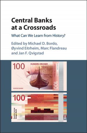 Cover of the book Central Banks at a Crossroads by Christos Hadjiyiannis