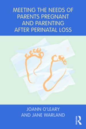 Book cover of Meeting the Needs of Parents Pregnant and Parenting After Perinatal Loss