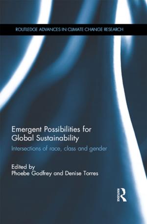 Cover of the book Emergent Possibilities for Global Sustainability by W. Charlton