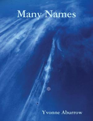 Cover of the book Many Names by Zachary Lewis
