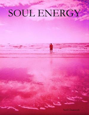 Cover of the book Soul Energy by Minefan
