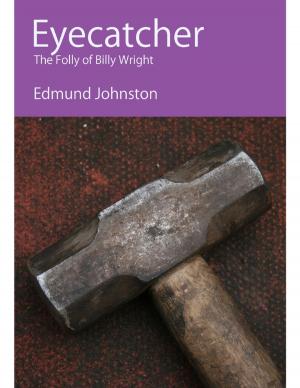 Cover of the book Eyecatcher by John Samson