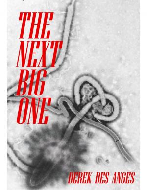 Cover of the book The Next Big One by Tami Brady