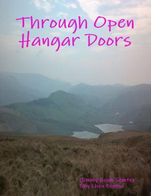 Book cover of Through Open Hangar Doors