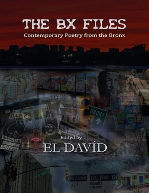 Book cover of The B X Files: Contemporary Poetry from the Bronx