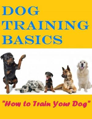 Book cover of Dog Training Basics - How to Train Your Dog