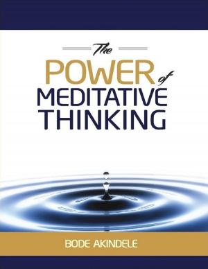 Book cover of The Power of Meditative Thinking