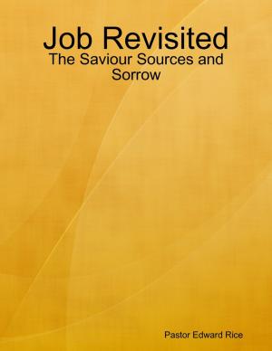 bigCover of the book Job Revisited - The Saviour Sources and Sorrow by 