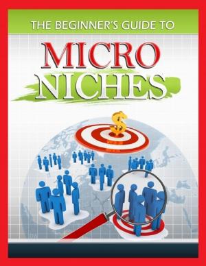 Book cover of The Beginner's Guide to Micro Niches