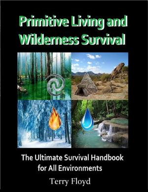 bigCover of the book Primitive Living and Wilderness Survival - The Ultimate Survival Handbook for All Environments by 