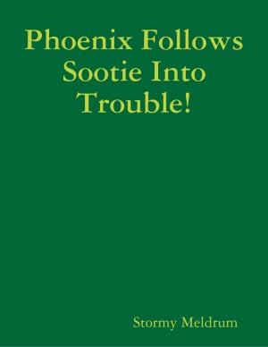 Cover of the book Phoenix Follows Sootie Into Trouble! by Bev Stout