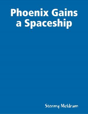 Cover of the book Phoenix Gains a Spaceship by Marc Van Pelt