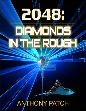 Cover of the book 2048: Diamonds In the Rough by Robert F. (Bob) Turpin