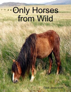 Book cover of Only Horses from Wild