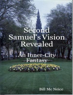 Cover of the book Second Samuel's Vision Revealed by June Winters