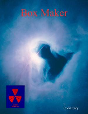 Cover of the book Box Maker by Jeffrey Vandivor