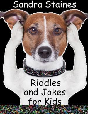 Cover of the book Riddles and Jokes for Kids by Chris Johns
