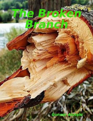 Cover of the book The Broken Branch by Winner Torborg