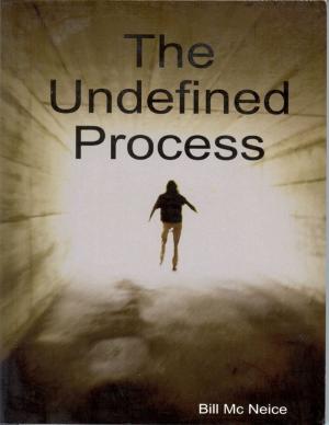 Book cover of The Undefined Process