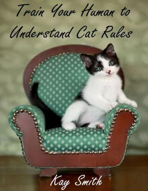 Book cover of Train Your Human to Understand Cat Rules